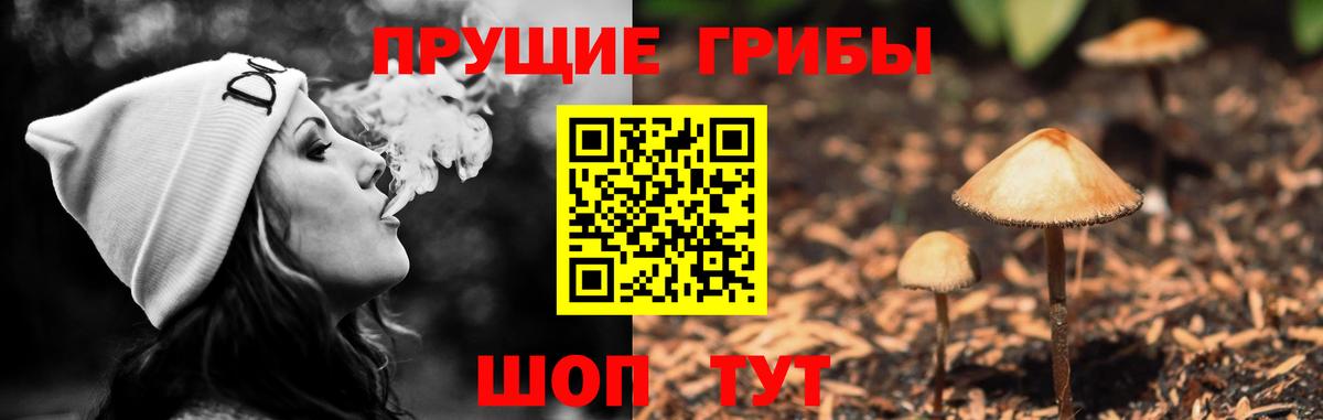 дарнет шоп  Вход с VPN  Архангельск  Галлюциногенные грибы GOLDEN TEACHER 